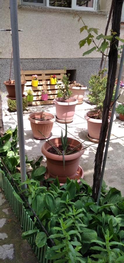 נסבר Draga Apartment מראה חיצוני תמונה